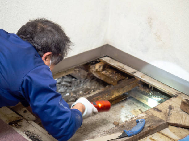 Crawl Space Mold Removal in Wakefield, MI