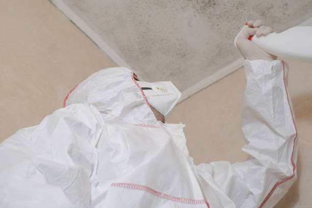 Best Crawl Space Mold Removal  in Wakefield, MI